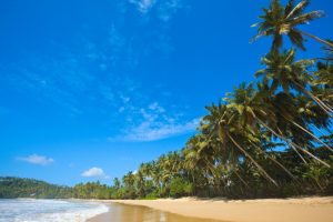 Plage au Sri Lanka