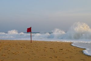 plage nikkis nest inde