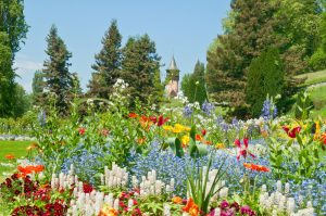 Oberstaufen - Île de Mainau et sa flore