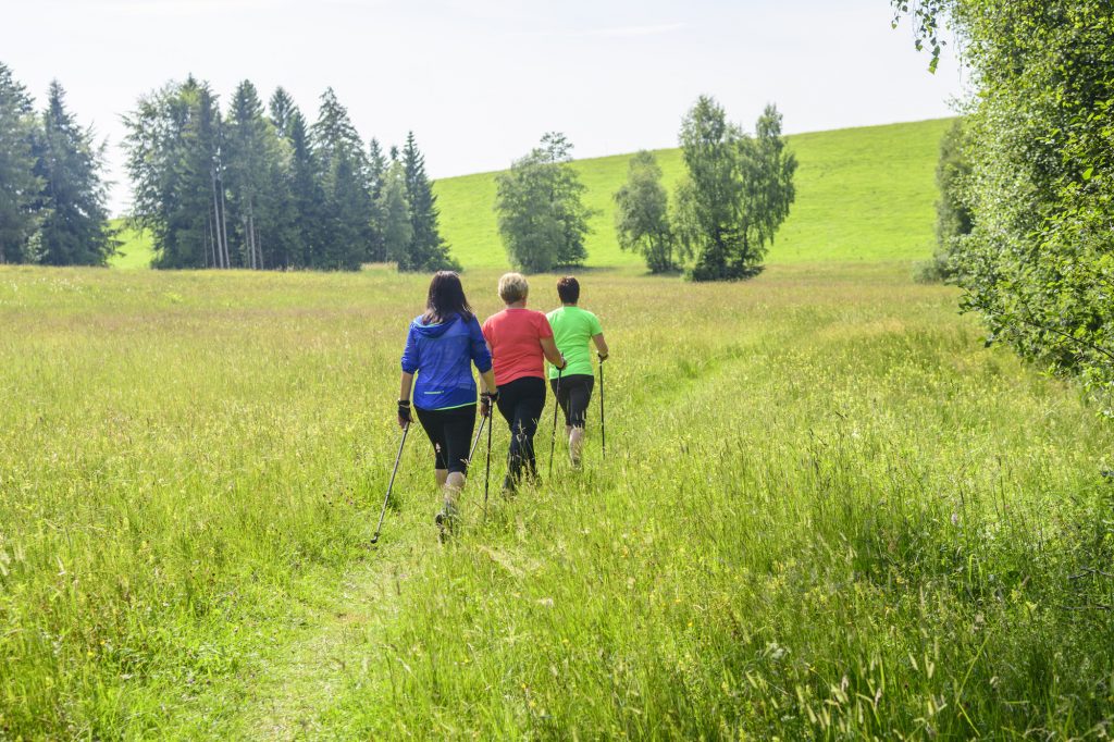 Trois femmes lors d'un jeûne et randonnée. Jeûne thérapeutique avec exercices.