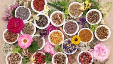 plusieurs récipients avec des plantes ayurvédiques pour maigrir avec l'Ayurveda