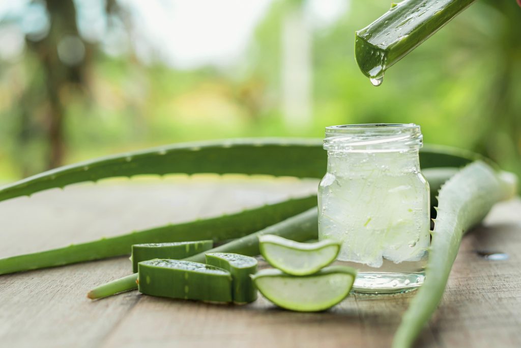 aloe vera contre le psoriasis