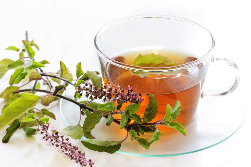 Ayurveda contre le rhume, tisane de tulsi ou basilic sacré dans un verre transparent avec une branche de tulsi